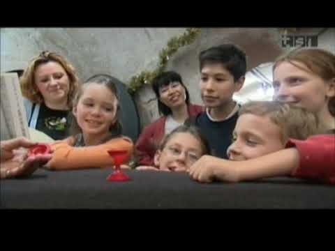 Il giardino dei giochi segreti - The Secret World of Magic