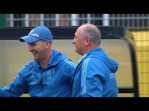 Gol De Deyverson Palmeiras 1 x Grêmio