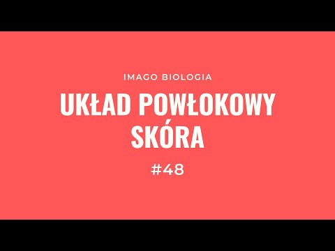 Układ powłokowy. Skóra