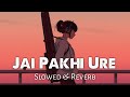 Jaye Pakhi Urey - যায় পাখি উড়ে  - Slowed & Reverb| Romeo | Text Audio | Bengali Lofi