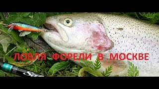 Рыбалка на тимирязевском