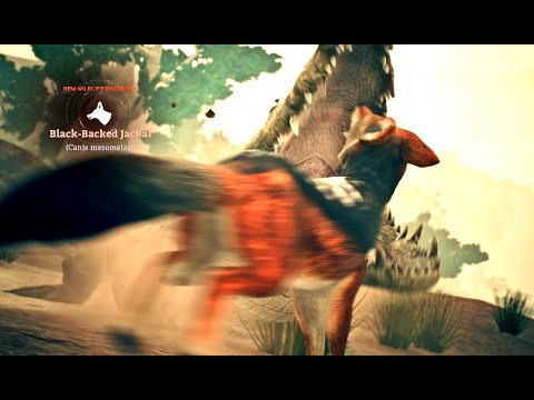 Crocodile kill the  Black-Backed Jackal In Ancestors |Part 74