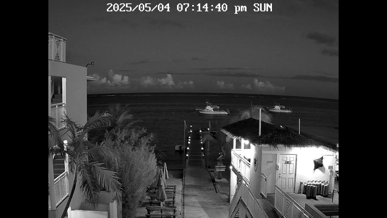 Ocean Frontiers Dock Cam | Grand Cayman | Livestream