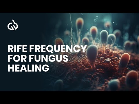 Rife Frequency for Fungus Healing & Treatment Binaural Beats | Good Vibes