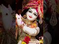 Tumse Bada Yaha Kon Kanhaiya Krishna Bhajan Status Radhakrishna Kanhastatus Bhajan Shorts