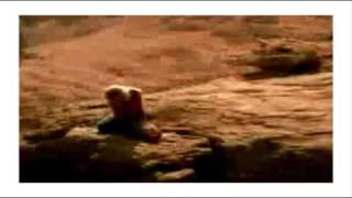 Brooke Hogan | Britney Spears - Dear Mom