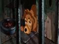 The Dogs Of Lady And The Tramp