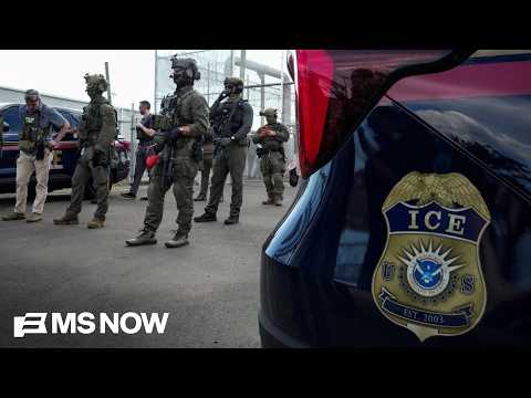 We want ‘ICE as we know it to be completely OVERHAULED’: Dem Rep. on new ICE stun gloves