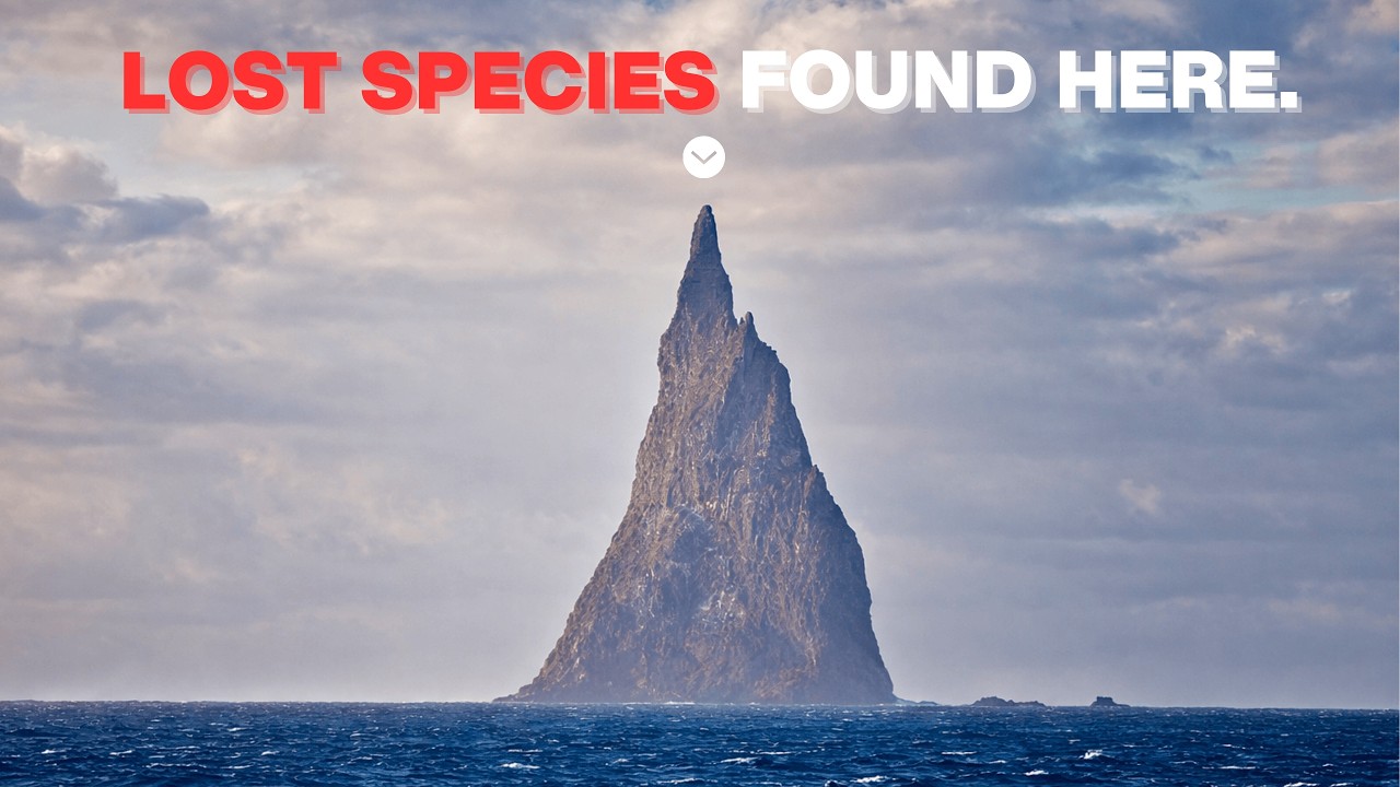Strangest Islands That Actually Exist