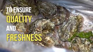 Yamaguchi Fish Market -  Fresh Oyster