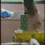 Sesame Street Block City