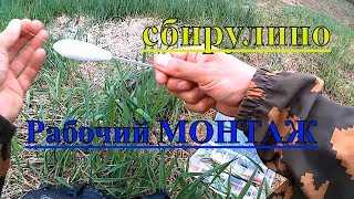 Ловля рыбы на майского жука