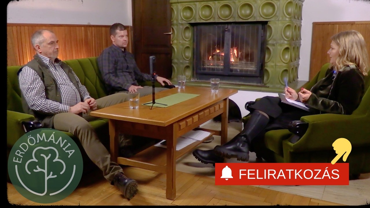 Fakitermelés vs. erdőirtás | Erdőmánia Podcast