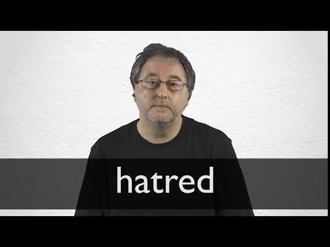 Hatred Synonyms | Collins English Thesaurus