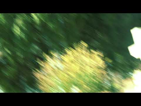 An Atom on Creation's Throne (screener)