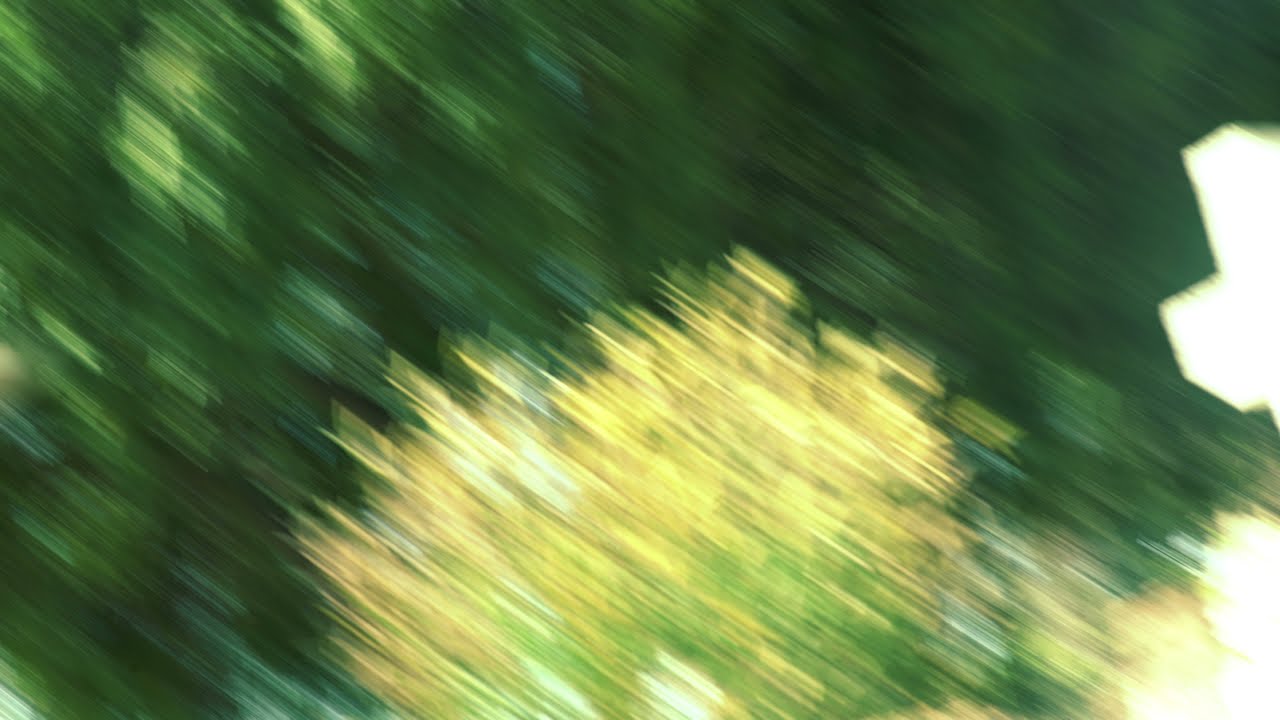 An Atom on Creation's Throne (screener)