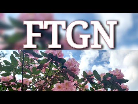 FTGN