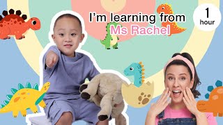 Kids Playtime with Colorful Balls! Fun Learning & Play for Kids