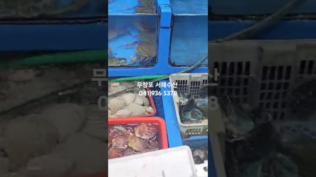 무창포 서해수산