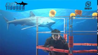 DIA 2 Expo Tiburon206