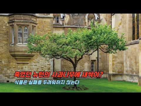 상식과 통찰을 잇는 식물학 에세이, 『식물의 시간은 천천히 흐른다』 출간 (이일하, 초봄책방)