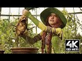 Hogwarts Legacy Mandrake Herbology Scene 4K