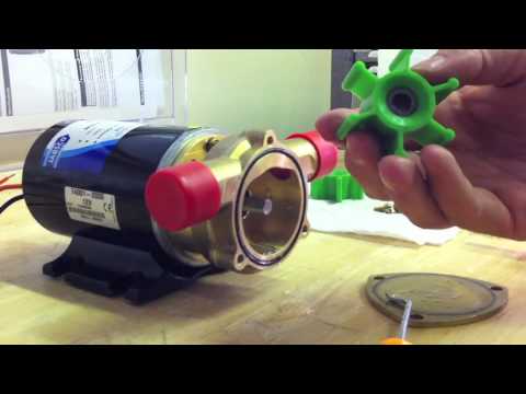 HOW TO: Jabsco Ballast Puppy Pump Green Impeller Replacement