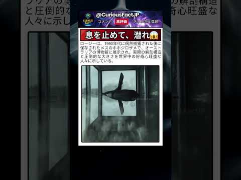 最後の瞬間にしか気づかない 😲