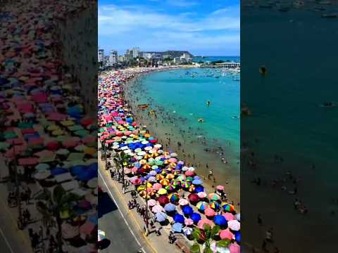 𝗙𝗲𝗿𝗶𝗮𝗱𝗼 𝗲𝗻 𝗦𝗮𝗹𝗶𝗻𝗮𝘀 𝗙𝘂𝗹𝗹 𝗚𝗲𝗻𝘁𝗲 | 𝗥é𝗰𝗼𝗿𝗱 𝗛𝗶𝘀𝘁ó𝗿𝗶𝗰𝗼 𝗱𝗲 𝗔𝘀𝗶𝘀𝘁𝗲𝗻𝗰𝗶𝗮