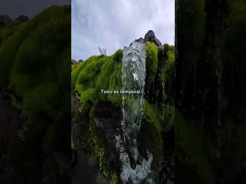 No hay que esperar nada de nadie. #motivacional #unmomentodetuvida #amorpropio #suscribete #shorts