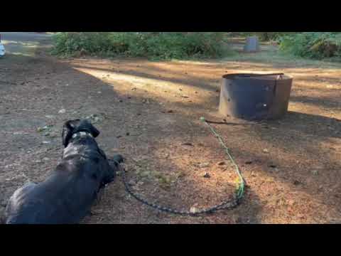 Milo Mclver SP campground