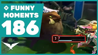 Nongshim worst enemy THE GROMP - Funny Moments #186 LCK 2024