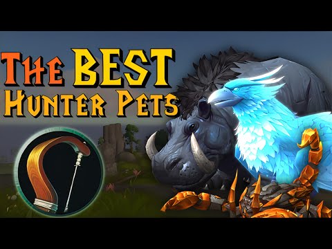 Best Hunter Pets for Raids, Dungeons, Delves and PvP