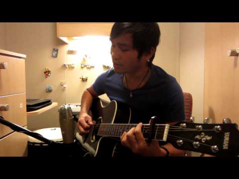 Peter Mayer - Moonlight Over Paris (Acoustic Cover)