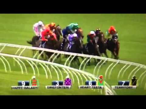 Driefontein Southern Cross Stakes