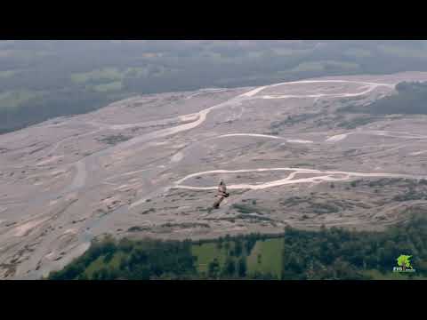 TRAILER_Serpenti d'Acqua - FVG COME AQUILA IN VOLO ep.2