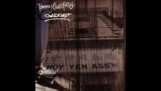 Tommy Guerrero And Gadget   Seems Like Old Times