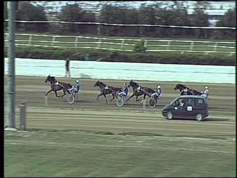 Trotto 13/09/2015 - 1° corsa