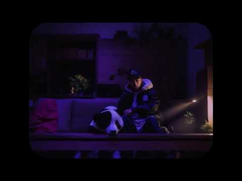 Shineva & DI23I - Intrebari  ( 2023 #MMD23 )