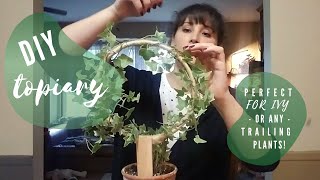 DIY Topiary | Glacier Ivy