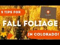 5 Tips for Fall Foliage in Colorado (From a Local!)