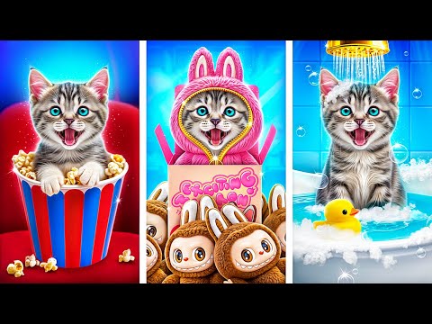 Mentsd Meg Ezt Az Apró Macskát! Titkos Trükkök Kisállattulajdonosok Számára!