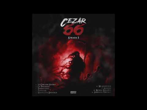 Cezar66 - Mahalaua Digitala