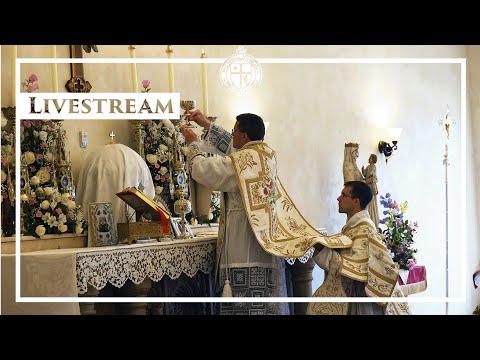 Solemn High Mass - Sexagesima Sunday - 2/8/26