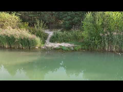 Pískovna Vejprnice - lovné místo č. 7