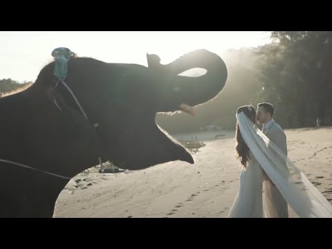 Phuket wedding in tropical garden and beach of Matina and Harry at Thavorn beach resort