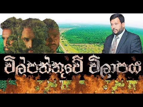 විල්පත්තුවේ විලාපය | Wilpattuwe Wilapaya | Unofficial video | Chamika Lakshan