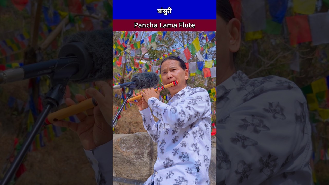 Flute Music | Bansuri Dhun | Bird Sound With Nature | Instrumental Music #flute #flutemusic #shorts