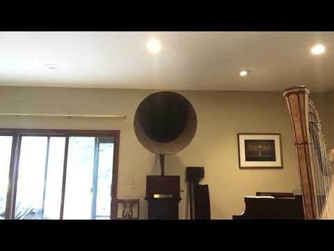 MASSENET Meditation from Thais Arnold Foldesy, cello