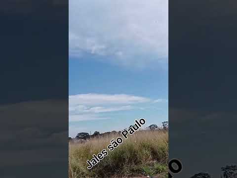 festival Jales são Paulo